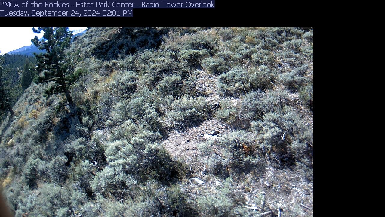 YMCA Rockies Estes Park Webcam 2